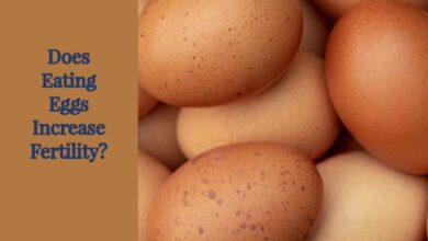 Does Eating Eggs Increase Fertility?