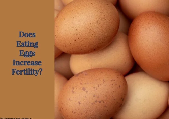 Does Eating Eggs Increase Fertility?