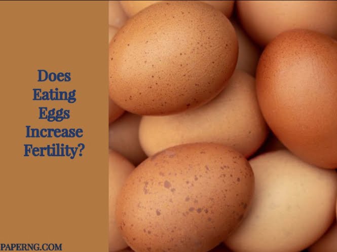 Does Eating Eggs Increase Fertility?